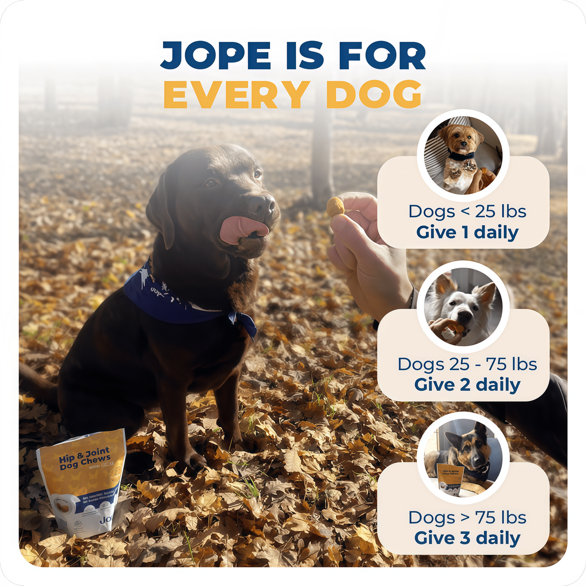 Jope Hip & Joint Dog Chews